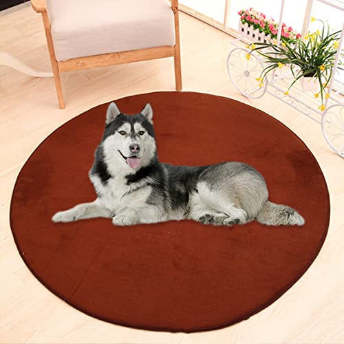 Waigg Kii Große Hundebettmatte, Korallensamt, weich, rund, Teppich, Haustiermatte, Anti-Angst, Hundematratze für kleine, mittelgroße und große Katzen (120 cm, Kaffeebraun) von Waigg Kii