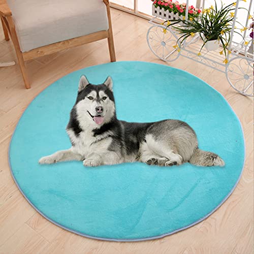 Waigg Kii Große Hundebettmatte, Korallensamt, weich, rund, Teppich, Haustiermatte, Anti-Angst, Hundematratze für kleine, mittelgroße und große Katzen (140 cm, blau) von Waigg Kii