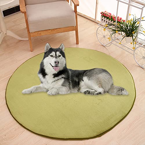 Waigg Kii Große Hundebettmatte, Korallensamt, weich, rund, Teppich, Haustiermatte, Anti-Angst, Hundematratze für kleine, mittelgroße und große Katzen (140 cm, grün) von Waigg Kii