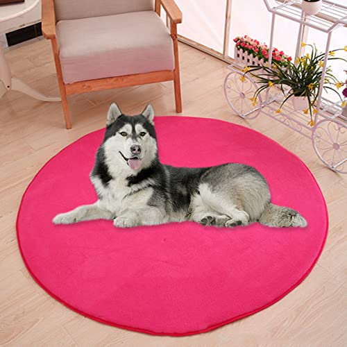 Waigg Kii Große Hundebettmatte, Korallensamt, weich, rund, Teppich, Haustiermatte, Anti-Angst, Hundematratze für kleine, mittelgroße und große Katzen (80 cm, Rosenrot) von Waigg Kii