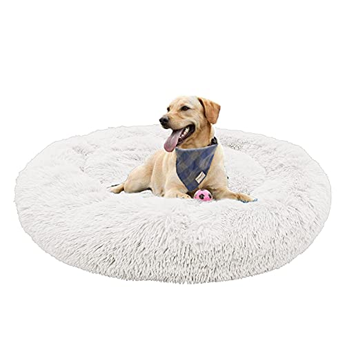 Waigg Kii Plüsch-Donut-Hundebett, weiches Haustierbett, Hundebett, Kissen, rundes großes Hundebett XL, Haustierbett für große, mittelgroße und kleine Hunde und Katzen (120 x 120 cm, weiß) von Waigg Kii