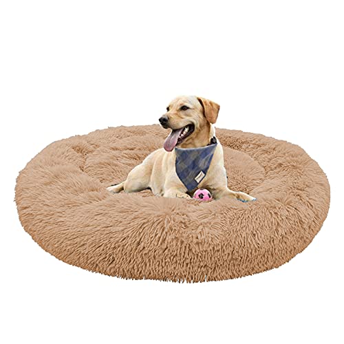 Waigg Kii Plüsch-Donut-Hundebett, weiches Haustierbett, Hundebett, Kissen, rundes großes Hundebett XL, Haustierbett für große, mittelgroße und kleine Hunde und Katzen (70 x 70 cm, Beige) von Waigg Kii