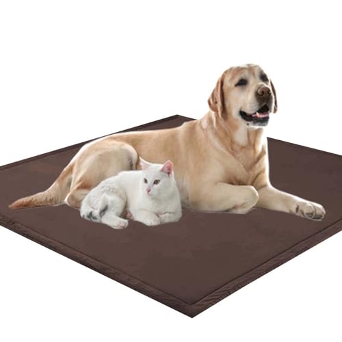 Waigg Kii Weiche, große Hundematratze, XXL-Hundematratze, 2 cm dick, weicher Korallensamt, rutschfeste Schlafmatte für Hunde und Katzen, Anti-Angst-Hundekissen (100 x 40 cm, Braun) von Waigg Kii