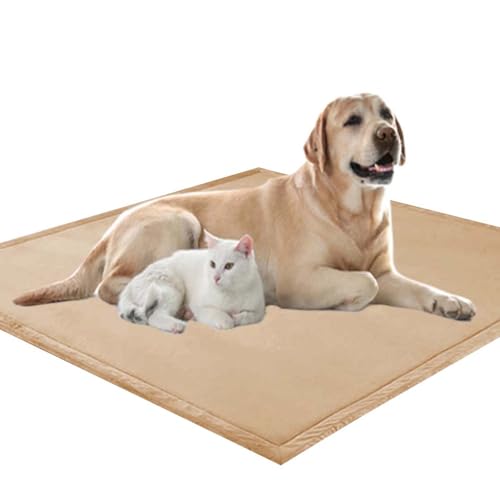 Waigg Kii Weiche, große Hundematratze, XXL-Hundematratze, 2 cm dick, weicher Korallensamt, rutschfeste Schlafmatte für Hunde und Katzen, Anti-Angst-Hundekissen (120 x 120 cm, Beige) von Waigg Kii