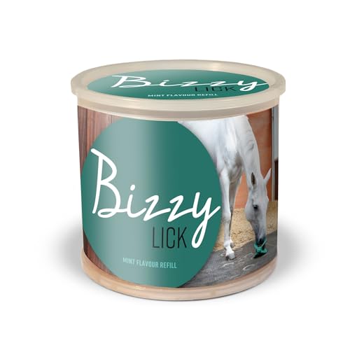 BIZZY Horse Leckstein, 1 kg 1 kg, Minze von BR