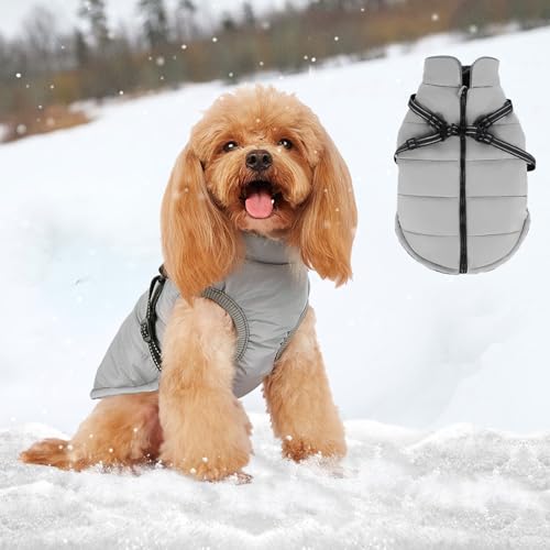 Hundemantel Für Kleine Hunde, Waldspring Hunde Jacke Kleine Hund, Hunde Regenmantel Kleine Hunde Wasserdicht Und Warm, Hundekleidung Mit Kleine Und Mittlere Hunde (S) von Waldspring