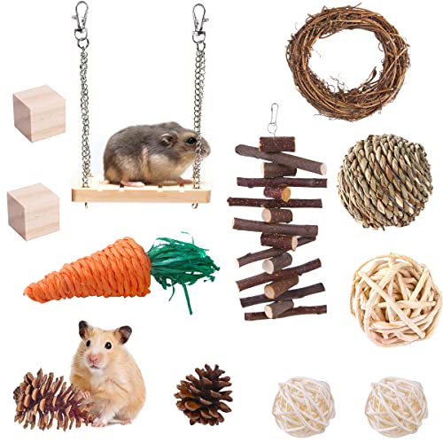 Waldspring 13 Stück Hamster Kauspielzeug für Kleine Haustiere, Handgefertigtes Hamster Spielzeug, Natürliche Timothy-Gras kaubälle, Hamster-Kauspielzeug-Set von Waldspring