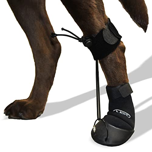 Toe'sUP Walkaboot Knöchelstiefel, verhindert Ziehen der Pfoten, ideal für Haustiere mit neurologischen Störungen, die das Knöcheln und Ziehen der Vorderpfote verursachen, Größe XS 2,5–3,8 cm Pfotenbreite von WalkAbout