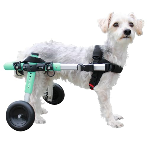 Walkin' Wheels Leichter Hunderollstuhl - für kleine Hunde von 5 - 11,3 kg - Tierarzt zugelassen - Hunderollstuhl für Hinterbeine von Walkin' Wheels