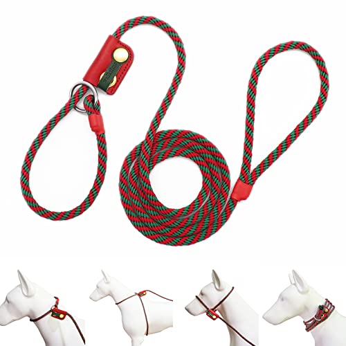 Hundeleine und Halsband aus Seil, 6,35 mm Durchmesser – 1,8 m lang, roter Schieber von Walktime