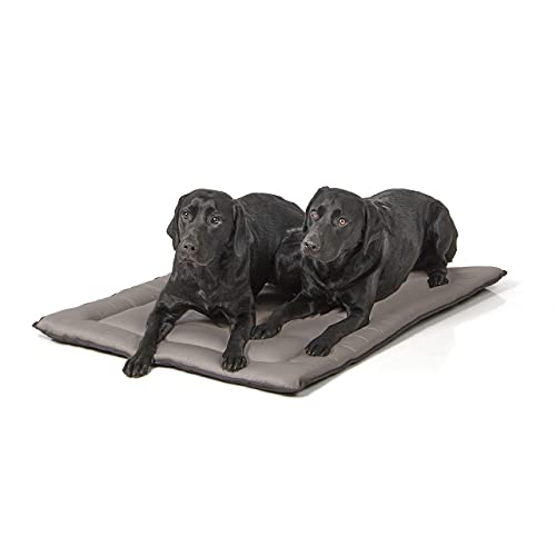 Wallace & Jones | Wendedecke pflegeleicht waschbar bis 95°C - gepolsterte Indoor/Outdoor Liegedecke für Hunde | XL - 110 x 80 cm - Hellgrau/Dunkelgrau von Wallace & Jones