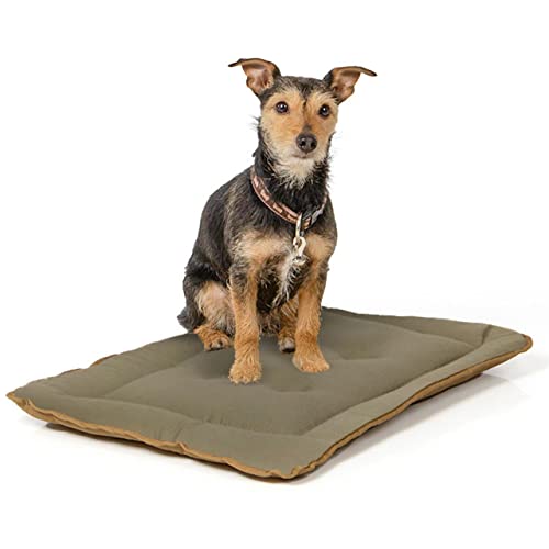 Wallace & Jones | Wendedecke pflegeleicht waschbar bis 95°C - gepolsterte Indoor/Outdoor Liegedecke für Hunde | Hundedecke - 60 x 45 cm - Braun/Oliv von Wallace & Jones