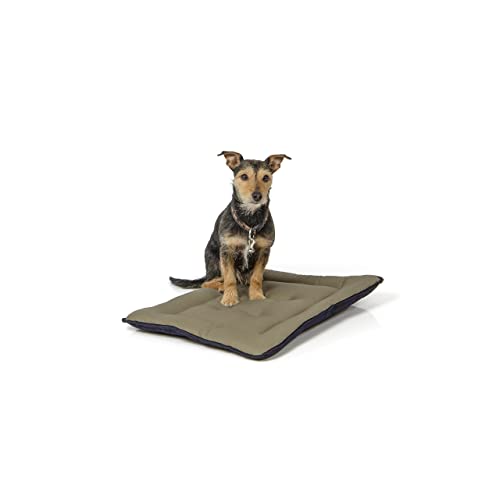 Wallace & Jones | Wendedecke pflegeleicht waschbar bis 95°C - gepolsterte Indoor/Outdoor Liegedecke für Hunde | Hundedecke - 60 x 45 cm - Dunkelblau/Oliv von Wallace & Jones