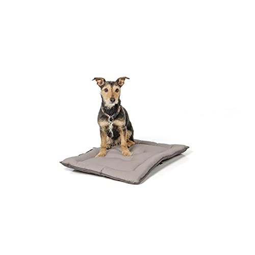 Wallace & Jones | Wendedecke pflegeleicht waschbar bis 95°C - gepolsterte Indoor/Outdoor Liegedecke für Hunde | Hundedecke - 60 x 45 cm - Hellgrau/Dunkelgrau von Wallace & Jones