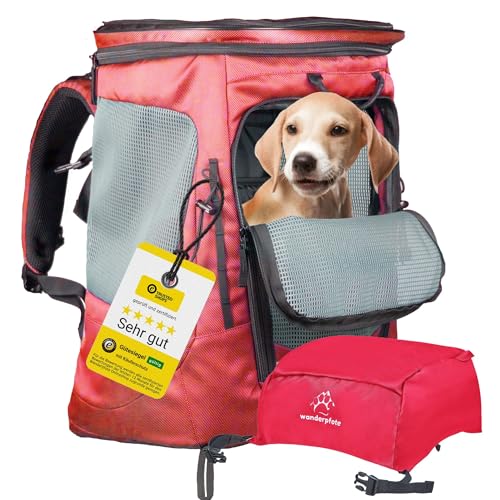 Wanderpfote Daypack Hunderucksack bis 12kg - Größe M, Farbe Rot - Premium Rucksack für kleine bis mittelgroße Hunde mit Höhenverstellbarem Tragesystem - höchste Qualität von Wanderpfote