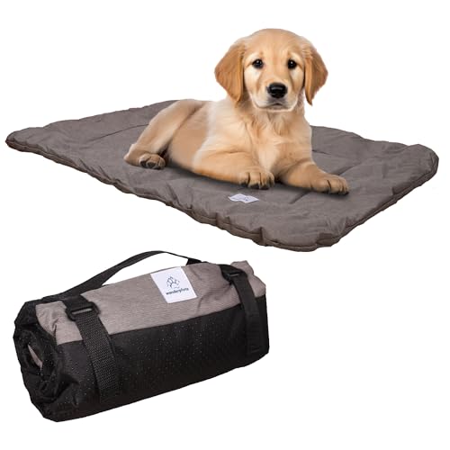 Wanderpfote Hundedecke für Unterwegs, 110 x 80cm – Waschbar, Orthopädisch, Wasserdicht – Hochwertiges Design – Hundedecke Outdoor, Hundematte Auto (Blau, Größe XL) von Wanderpfote