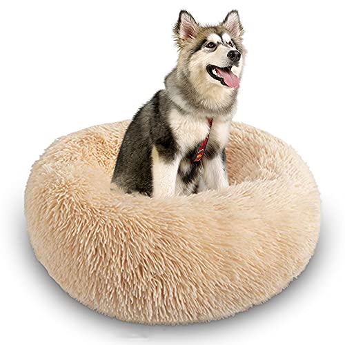 Plüsch-Hundebett, Donut-Haustierbett, rund, warm, kuschelig, Hundekissen, Schlafsack, für große und mittelgroße Hunde, verbesserter Schlaf, rutschfeste Unterseite, Beige, 70 cm von Wangle