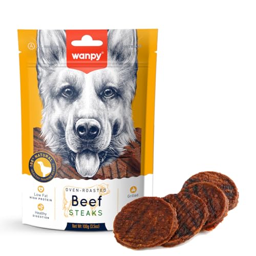 HAO`S HOLDINGS, INC. Hund WANDY Hundesnacks 100 g Rinderfilets gegrilltes Rindfleischfilets von Wanpy