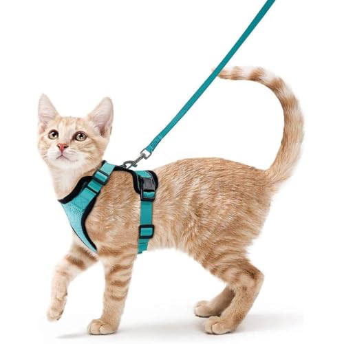 Wanym Katzengeschirr Mit Leine Ausbruchsicher, Verstellbares Katzen Geschirr Mit Leine, Weichem Innenfutter Und Atmungsaktivem Mesh, Reflektierend Geschirr Set für Kätzchen und Welpen,Emerald,S von Wanym