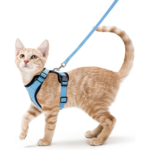 Wanym Katzengeschirr Mit Leine Ausbruchsicher, Verstellbares Katzen Geschirr Mit Leine, Weichem Innenfutter Und Atmungsaktivem Mesh, Reflektierend Geschirr Set für Kätzchen und Welpen,Lake Blue,XS von Wanym