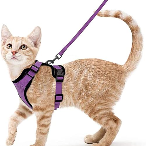 Wanym Katzengeschirr Mit Leine Ausbruchsicher, Verstellbares Katzen Geschirr Mit Leine, Weichem Innenfutter Und Atmungsaktivem Mesh, Reflektierend Geschirr Set für Kätzchen und Welpen,Lila,XS von Wanym