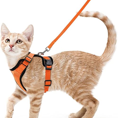 Wanym Katzengeschirr Mit Leine Ausbruchsicher, Verstellbares Katzen Geschirr Mit Leine, Weichem Innenfutter Und Atmungsaktivem Mesh, Reflektierend Geschirr Set für Kätzchen und Welpen,Orange,S von Wanym