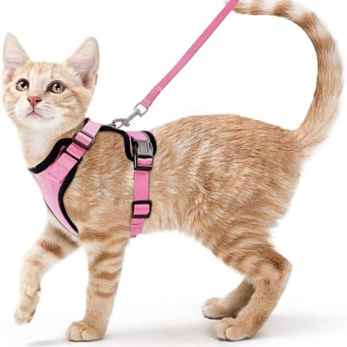 Wanym Katzengeschirr Mit Leine Ausbruchsicher, Verstellbares Katzen Geschirr Mit Leine, Weichem Innenfutter Und Atmungsaktivem Mesh, Reflektierend Geschirr Set für Kätzchen und Welpen,Rosa,S von Wanym