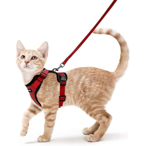 Wanym Katzengeschirr Mit Leine Ausbruchsicher, Verstellbares Katzen Geschirr Mit Leine, Weichem Innenfutter Und Atmungsaktivem Mesh, Reflektierend Geschirr Set für Kätzchen und Welpen,Rot,XS von Wanym