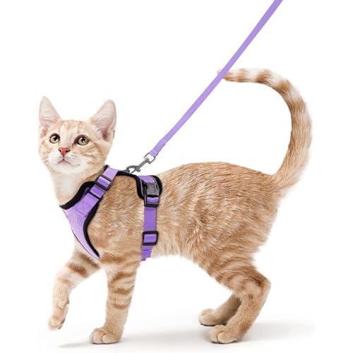 Wanym Katzengeschirr Mit Leine Ausbruchsicher, Verstellbares Katzen Geschirr Mit Leine, Weichem Innenfutter Und Atmungsaktivem Mesh, Reflektierend Geschirr Set für Kätzchen und Welpen,Violett,S von Wanym