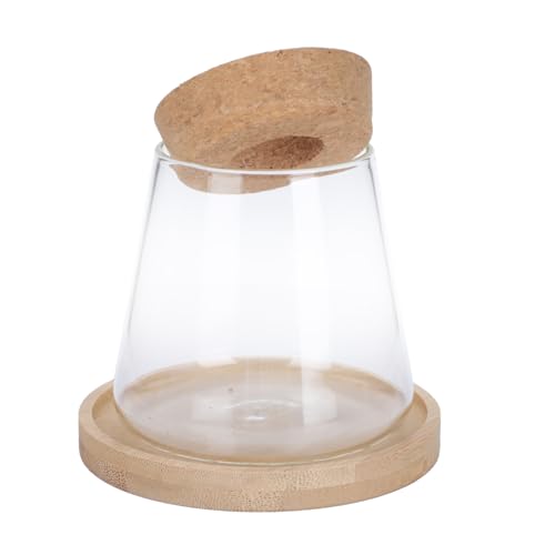 Warmhm 1 Satz Öko-Flasche Aus Glas Pflanzen Terrarien Saftig Wasser Im Freien Groß Bausatz Anlage Selbst Vase Stand Einmachgläser Desktop-pflanzgefäß Hölzern Brown Warmhm 1 Satz Öko-Flasche Aus Glas Pflanzen Terrarien Saftig Wasser Im Freien Groß Bausatz Anlage Selbst Vase Stand Einmachgläser Desktop-pflanzgefäß Hölzern Brown von Warmhm