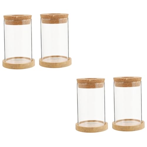 Warmhm 2 Sätze Eco-Flasche Boho Pflanzenbewässerungszwiebeln Pflanzen Terrarien Kleines Terrarium Hydroponischer Topf Vasen Für Tafelaufsätze Dekoration Transparent Hölzern 2 Stück * 2 von Warmhm