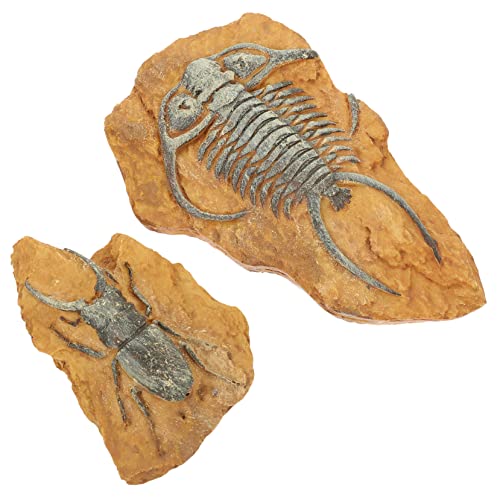 Warmhm 2 Stück Reptilien Dekorationsset aus Fossilien für Terrarien Kreative für Kleine Haustiere Langlebig und Sicher Warmhm 2 Stück Reptilien Dekorationsset aus Fossilien für Terrarien Kreative für Kleine Haustiere Langlebig und Sicher von Warmhm