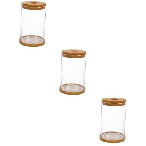 Warmhm 3 Sätze hydroponische Vase blumentöpfe blumenkübel Pot grünpflanze DIY Pflanzen Terrarium Links Terrarienglas hydrokulturpflanzen Terrarium transparente Flasche Bambus von Warmhm