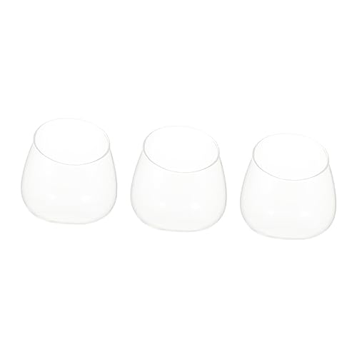 Warmhm 3st Schräge Glasflasche Blumenbehälter Glasterrarien Für Pflanzen Ökologische Flasche Saftige Vase Luftpflanzenhalter -pflanzenvasen Fruchtglas Schüssel Runden Dekorationen von Warmhm