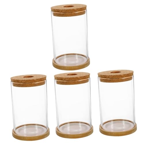 Warmhm 4 Sätze Hydroponische Vase Blumentöpfe Blumenkübel Links Leeres Terrarium Ökologische Flasche Transparente Flasche Landschaftsbehälter Pflanzen Flasche Pflanzenterrarium Glas von Warmhm