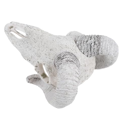 Warmhm Aquarium Künstliche Schädelhöhle für Fische und Reptilien Widerstandsfähiges aus Resin Versteckmöglichkeit für Aquarien und Terrarien für Stressfreies Habitat Warmhm Aquarium Künstliche Schädelhöhle für Fische und Reptilien Widerstandsfähiges aus Resin Versteckmöglichkeit für Aquarien und Terrarien für Stressfreies Habitat von Warmhm