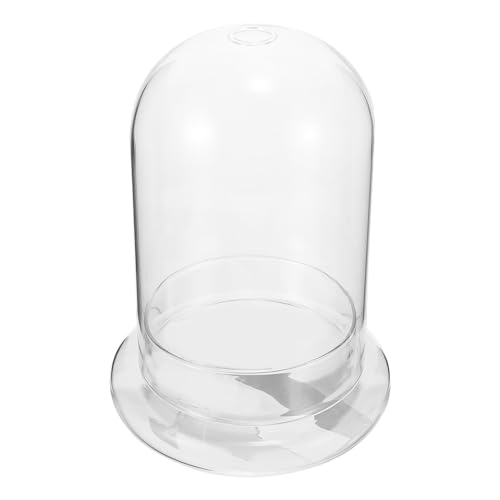 Warmhm Glas-Terrarium-Kuppelbehälter Leeres Glas Hydrokultur-Pflanzgefäß Sukkulenten-Topf Blumenvase Moos Mikrolandschaft Flasche Klare Schüssel Büro Zuhause Tischdekoration Cloche von Warmhm