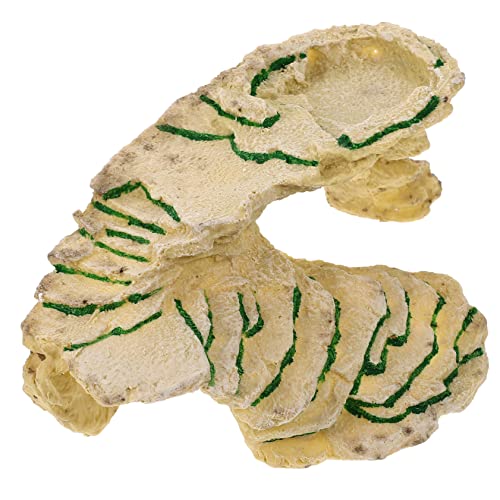 Warmhm Reptilienharzunterkunft Schildkrötenbasking für Aquarien Lebendige Simulation Kletterfreundlich Langlebiges Material für Terrarien und Reptilienhabitate Warmhm Reptilienharzunterkunft Schildkrötenbasking für Aquarien Lebendige Simulation Kletterfreundlich Langlebiges Material für Terrarien und Reptilienhabitate von Warmhm