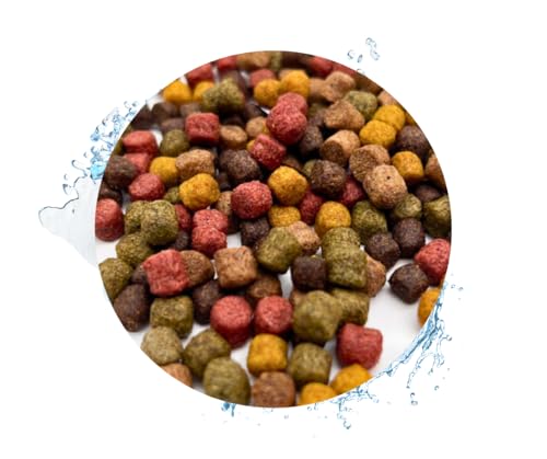 Warnick's Koifutter 10-Sorten-Mix mit Spirulina - 15 kg, 6 mm mit 1 kg Hanzam - Fischfutter für Koi & Zierfrische - schwimmend & sinkend, gut verdaulich von Warnick´s Tierfutterservice