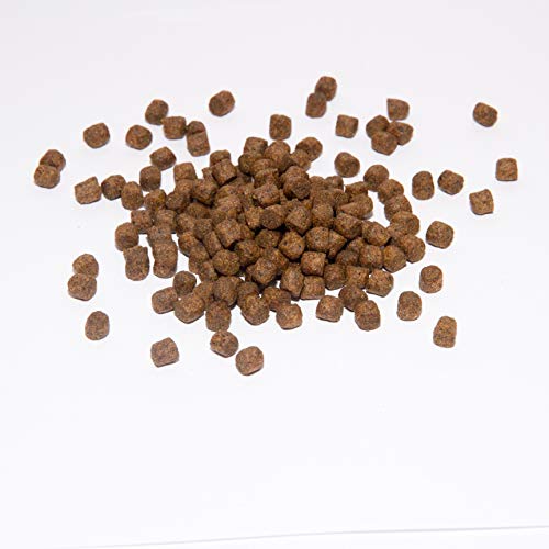 Koi Koifutter * Top Energy Plus * 10KG von Warnick´s Tierfutterservice (8mm) von Warnick´s Tierfutterservice