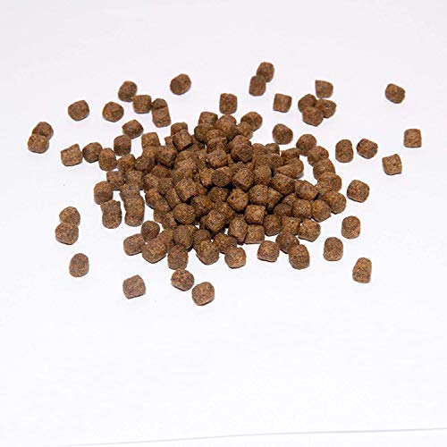 Warnick´s Tierfutterservice Koi Koifutter * Top Energy Plus * 15KG 8mm von Warnick´s Tierfutterservice