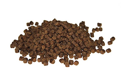 Warnicks Tierfutterservice Karpfenfutter sinkend 10 kg / 6mm von Warnicks Tierfutterservice