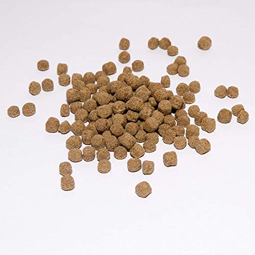 Warnick’s Tierfutterservice Koi Futter 15 Liter * Wheatgerm * für Frühjahr & Herbst in 6mm Pellets von Warnick´s Tierfutterservice