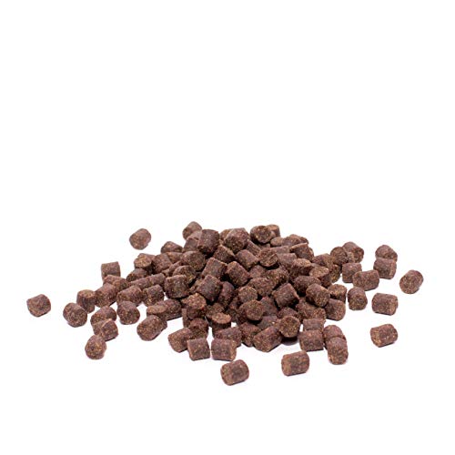 Warnick’s Tierfutterservice Störfutter in 3mm (5kg) für Störe von Warnick´s Tierfutterservice