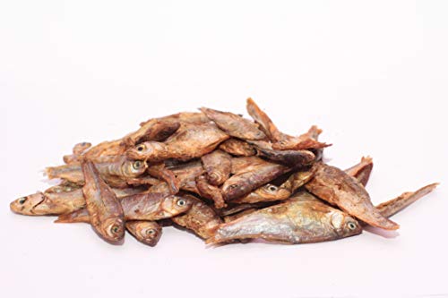 Wasserschildkrötenfutter ganze Fische von Warnick´s Tierfutterservice (1.000ml) von Warnick´s Tierfutterservice