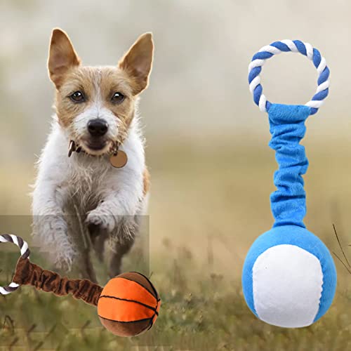 Washranp Quietschendes Hundespielzeug mit Soundeffekt, Übungstraining, interaktives Spielzeug, Fußball, Tennis, Basketball, Haustier-Kauspielzeug, Plüschspielzeug, Blau von Washranp