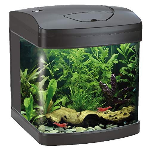 Wave Amtra Laguna XCUBE 26 LED Schwarz - Aquarium komplett mit LED-Beleuchtung und Filter/cm 31x32x37 / 26 Liter von Croci