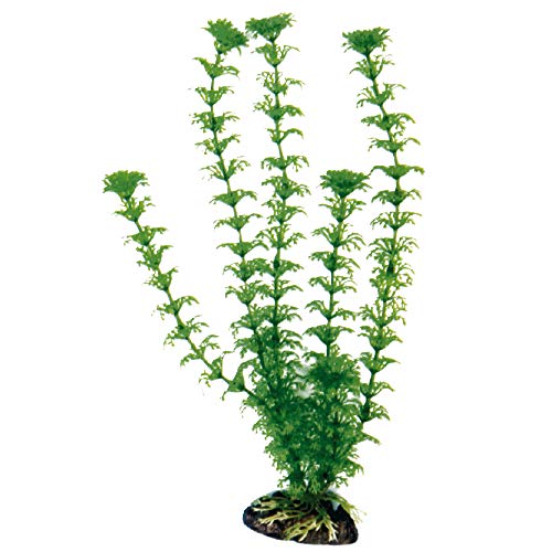 Wave A8011269 Plant Classic Cabomba Kunststoff-Replica, 27 cm von Amtra