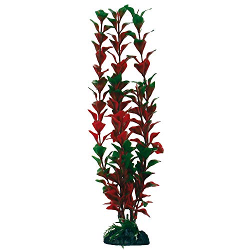 Wave A8011924 Plant Classic Ludwigia, M von Amtra