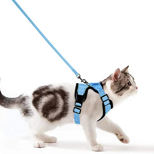 Katzengeschirr mit Leine Ausbruchsicher Katzenleine Set Verstellbar weich Kätzchenweste mit Reflektierenden Streifen Brustgeschirr für kleine Kitten (Hellblau, XS) von Wdmiya